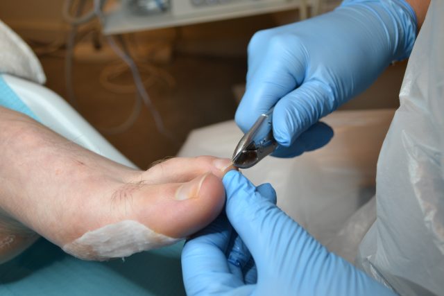 https://pedicurepraktijk-soesterberg.nl/wp-content/uploads/2025/06/DSC_07081-1-640x427.jpg